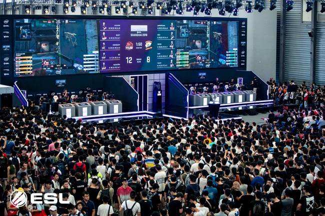 更是心理与 更是心理与